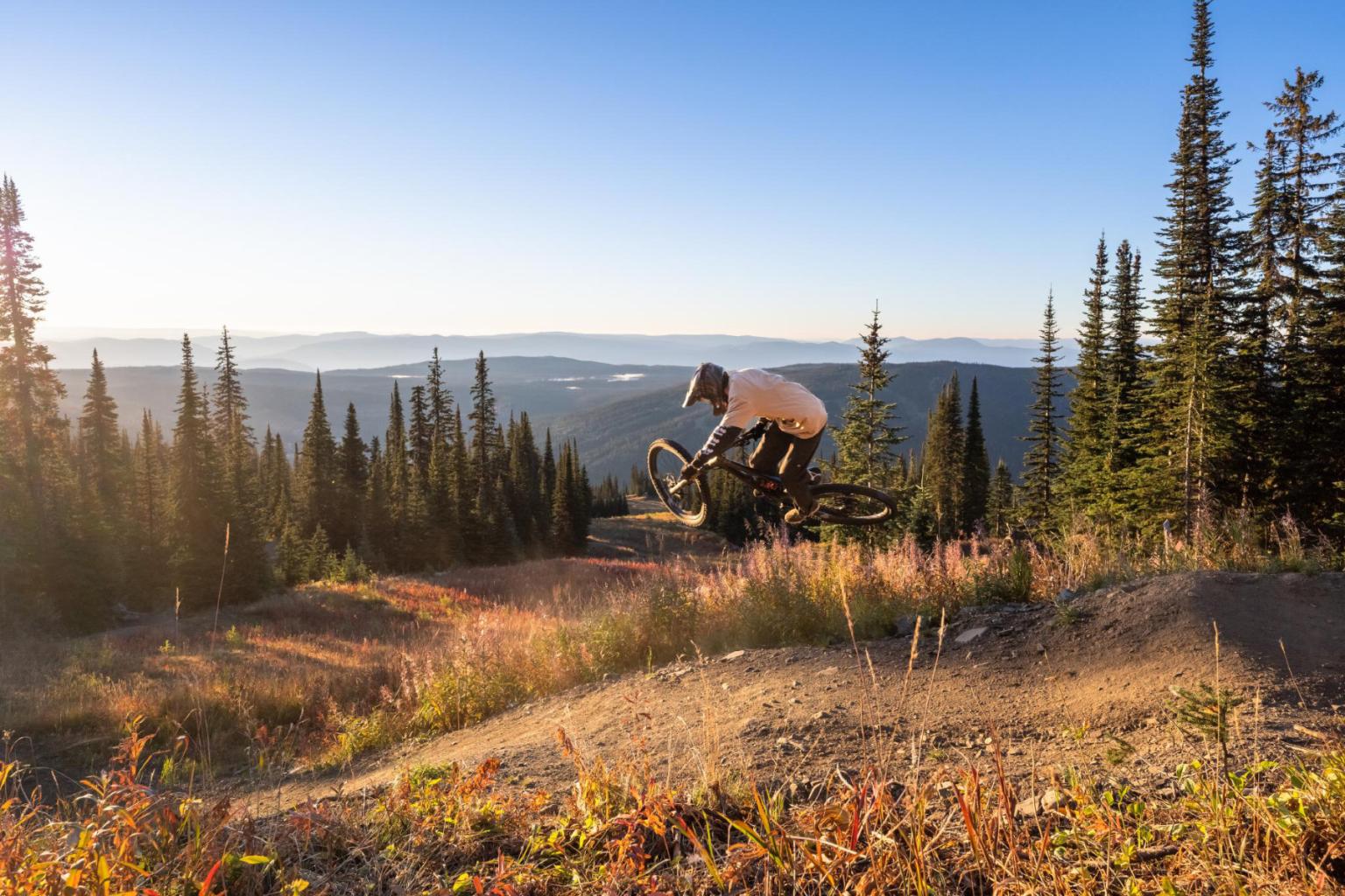Mountain biker on forest trail at sunset.
