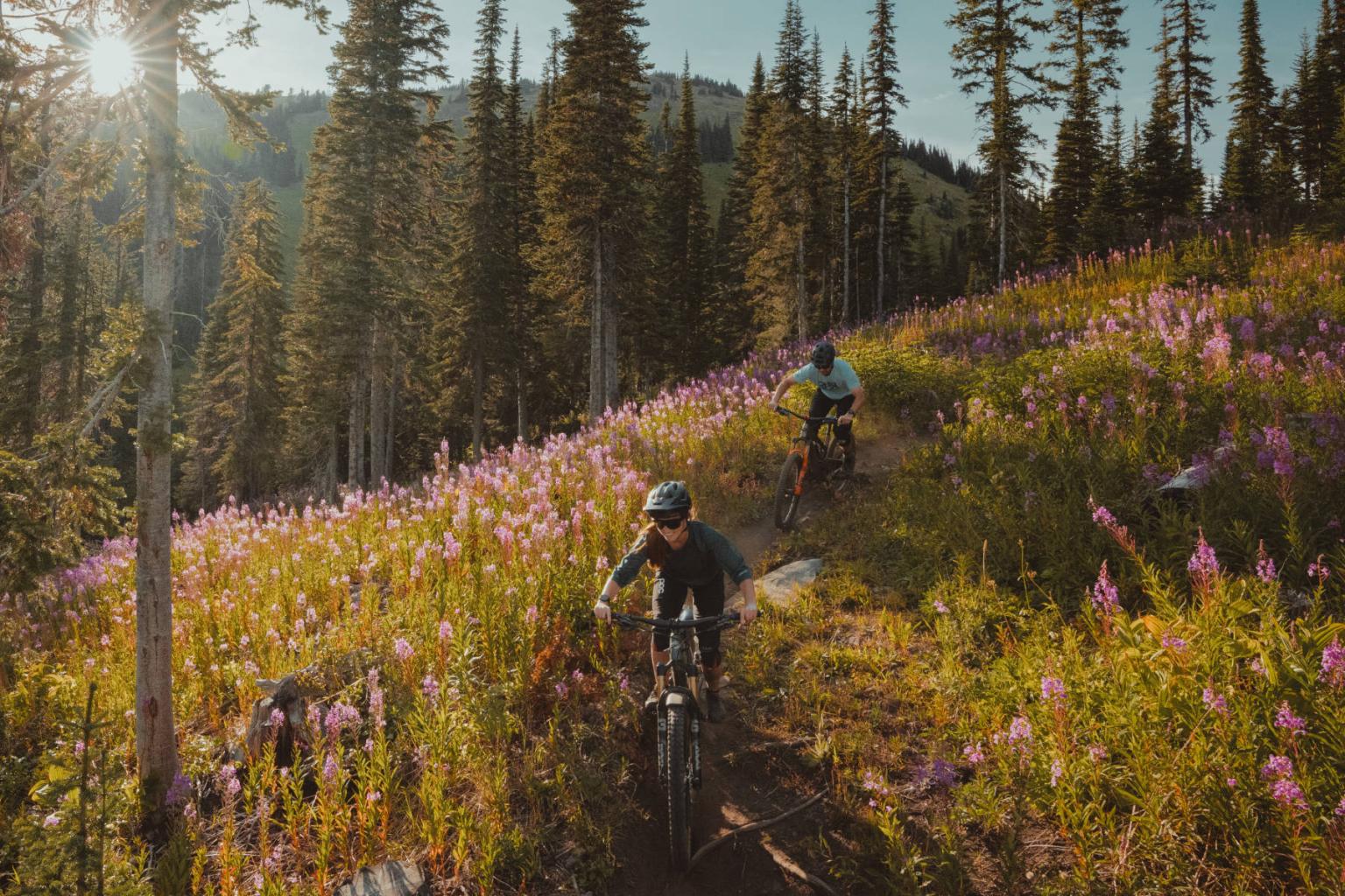Cyclists ride down a sunlit forest trail with wildflowers.