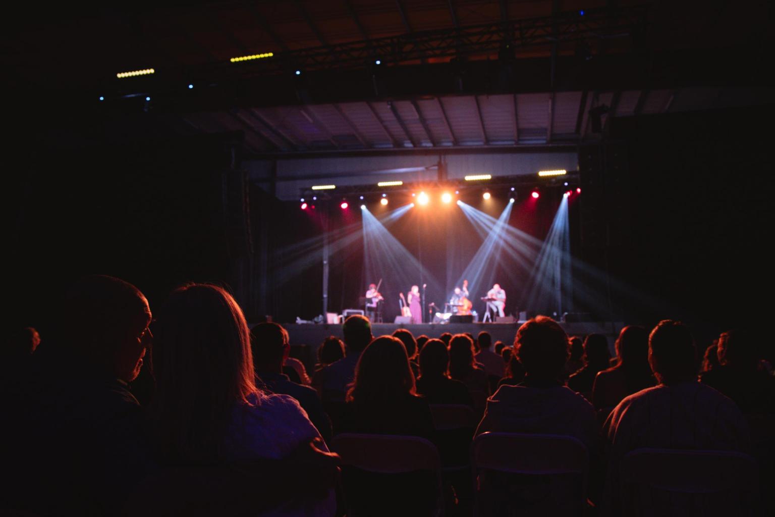Concert stage with colorful lights, audience in silhouette.