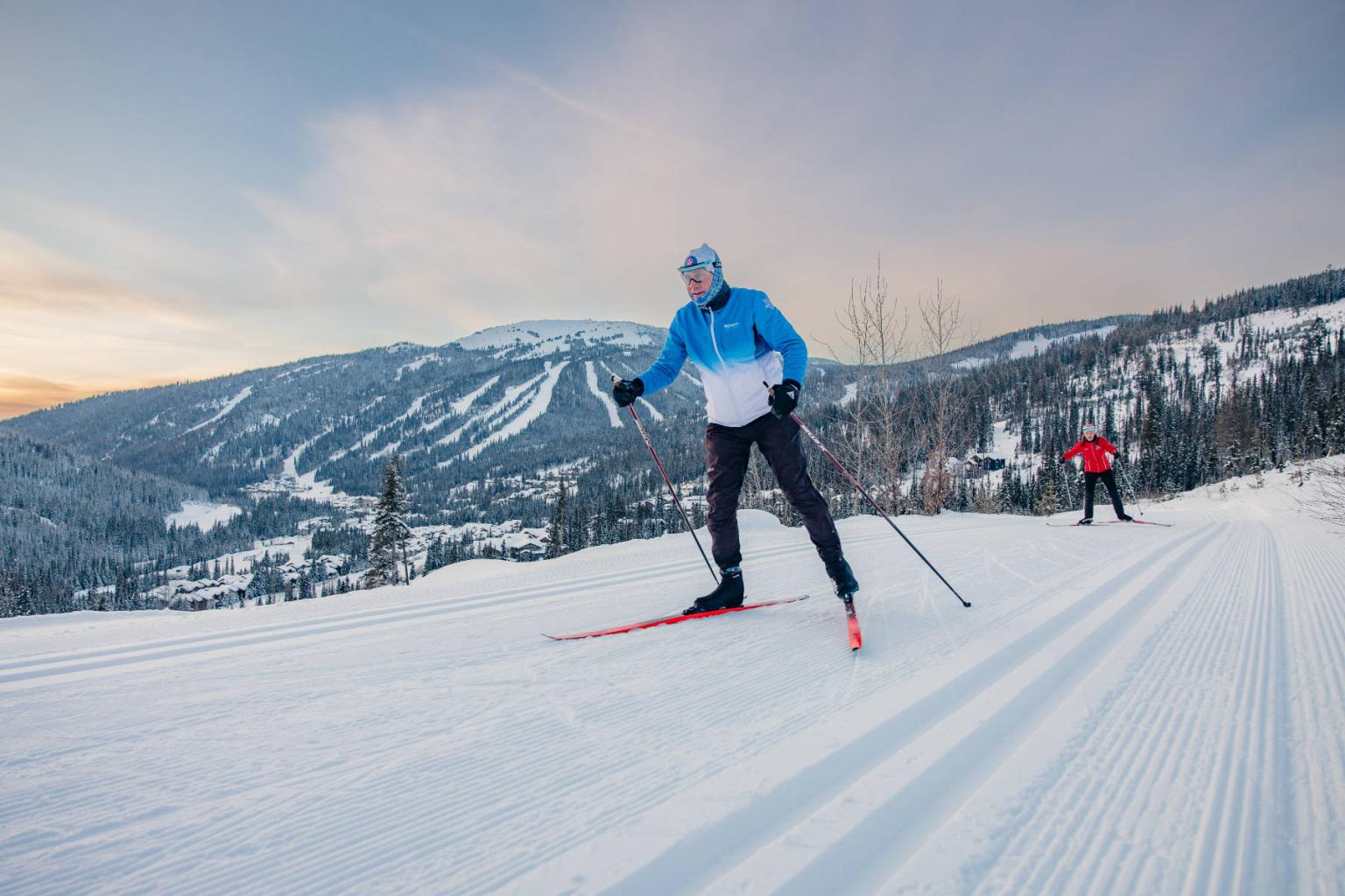 Cross-country skier on a snowy trail, mountains in the background.