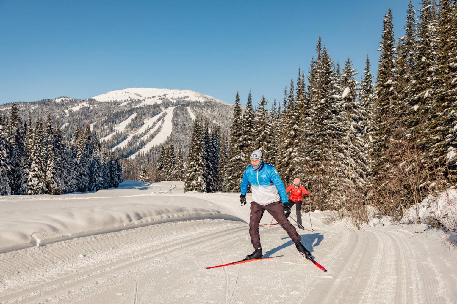 Cross-country skiers on a snowy trail, forest and mountains in the background.