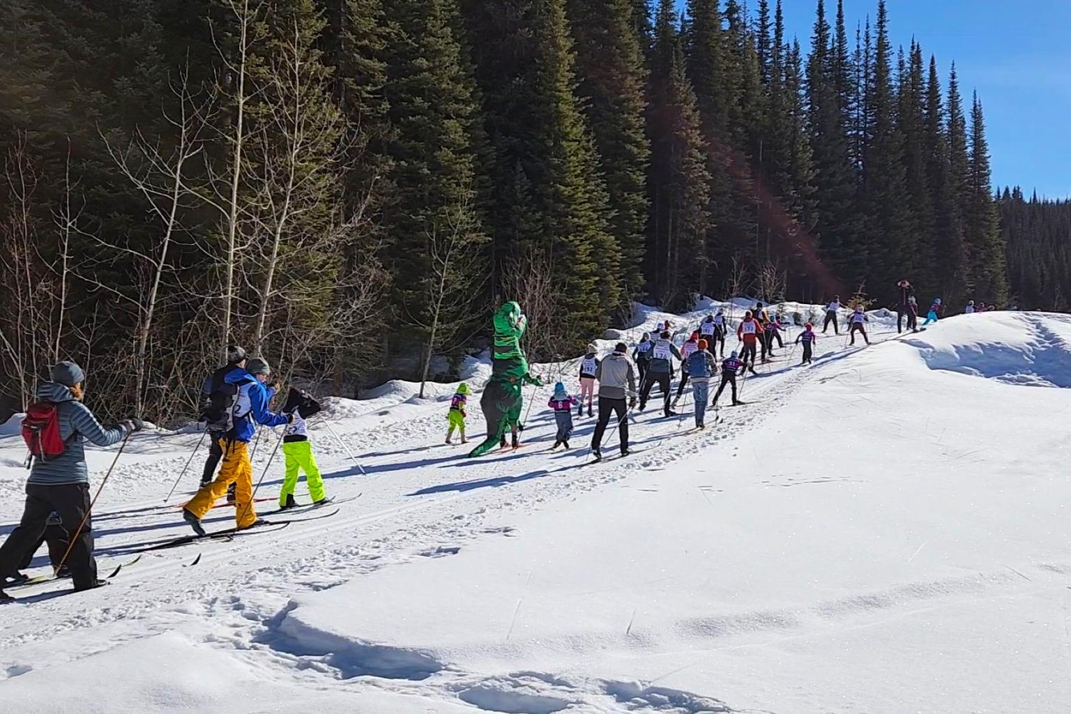 Nordic skiers in colorful outfits and a person in t-rex costume follow a snowy path lined with tall trees.