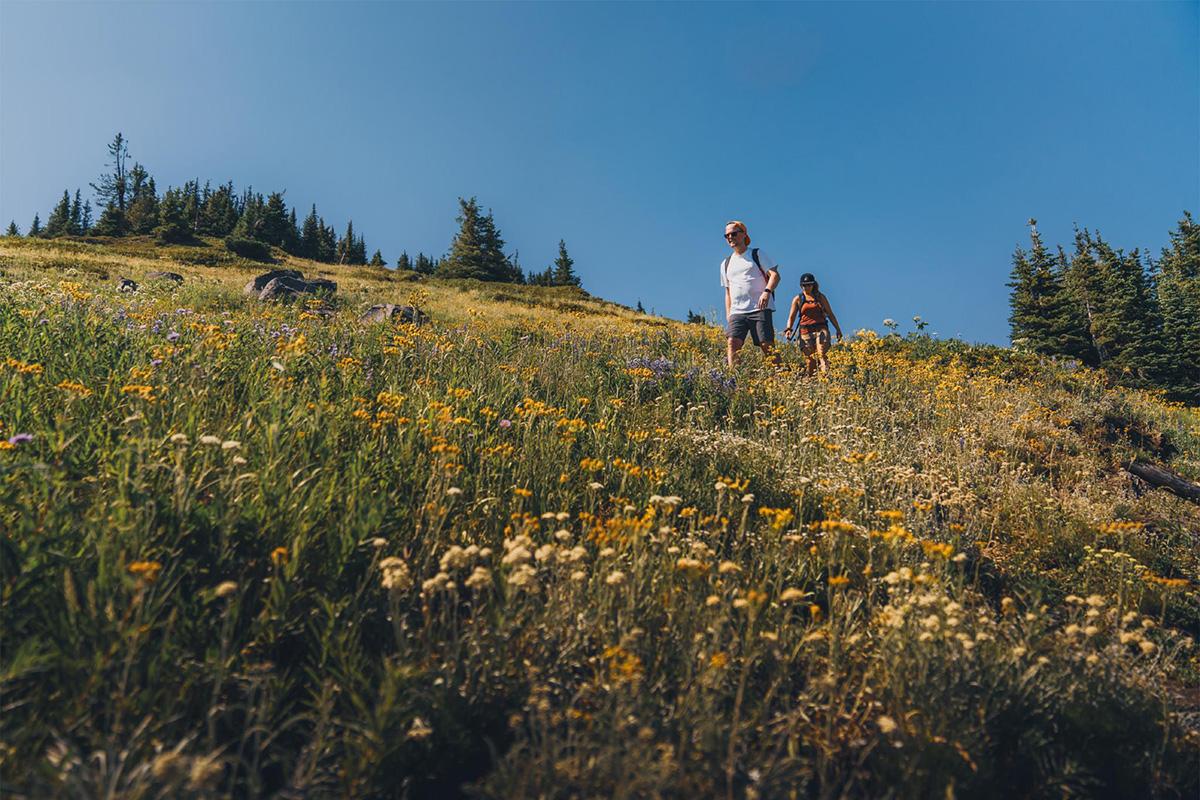 Two people walking up a wildflower-covered hill under a clear blue sky.