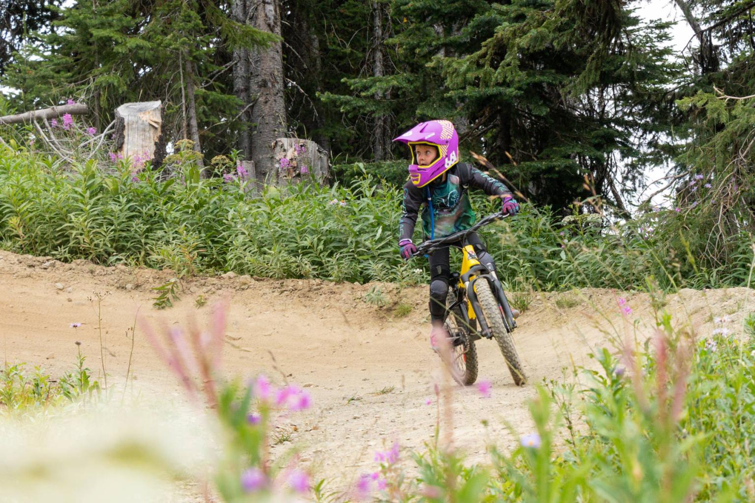 Cyclist with pink helmet rides mountain trail surrounded by trees and wildflowers.