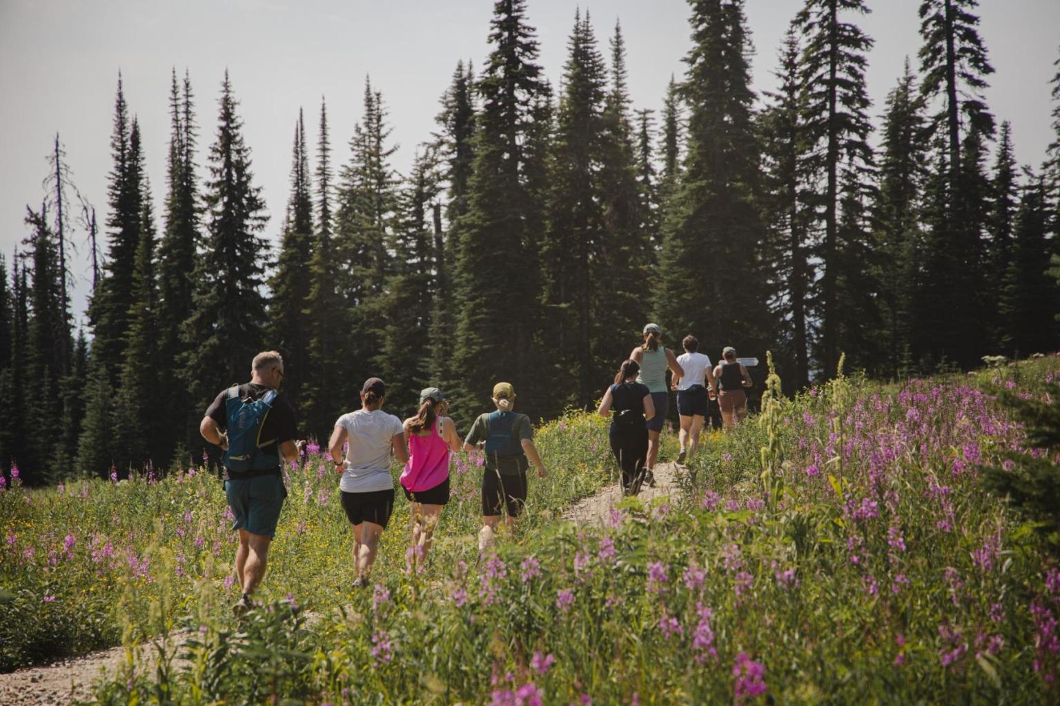 People jogging on a forest trail in Sun Peaks, surrounded by tall trees and wildflowers.