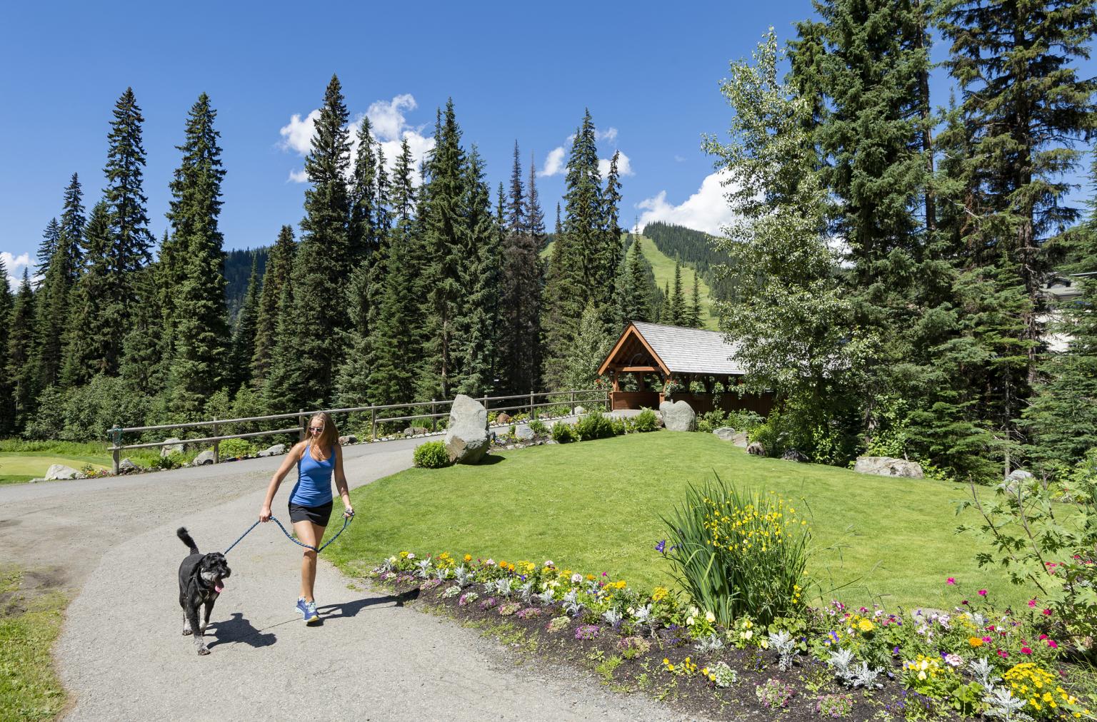 Woman walking dog on a sunny path near a cabin surrounded by trees and flowers.