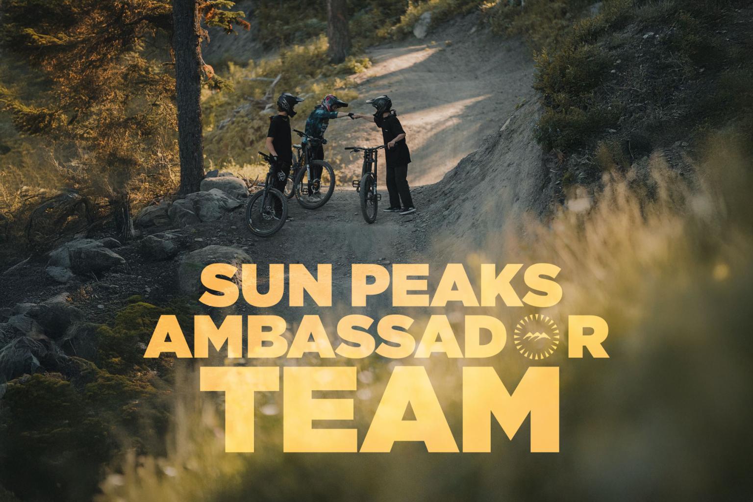 Mountain bikers pausing on a forest trail at sunrise.