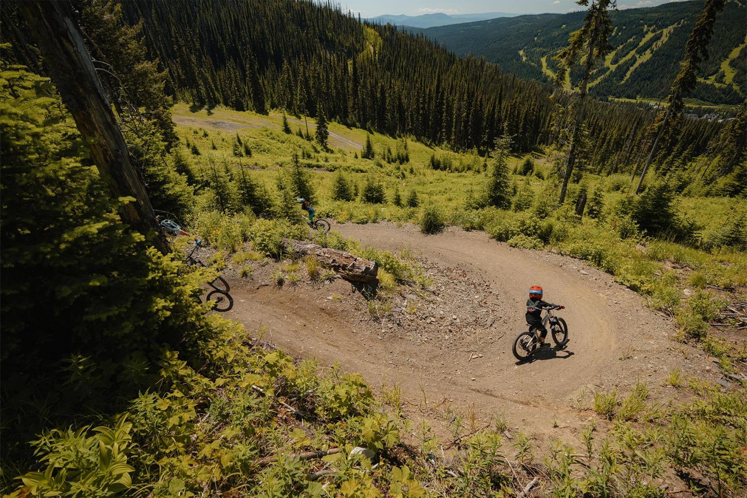 Mountain bikers on a winding dirt trail surrounded by lush green forest.