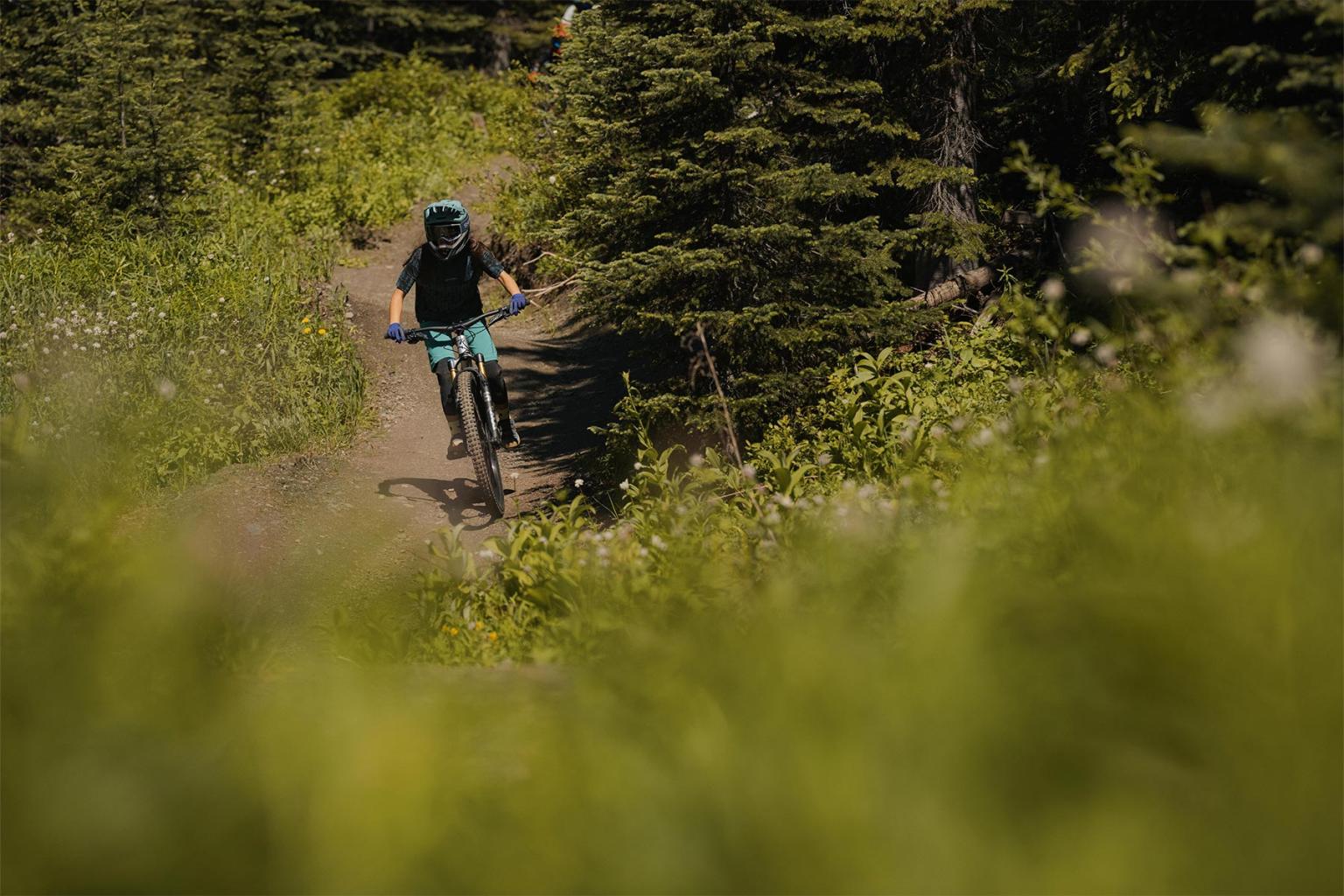 Mountain biker on a forest trail, surrounded by lush greenery.