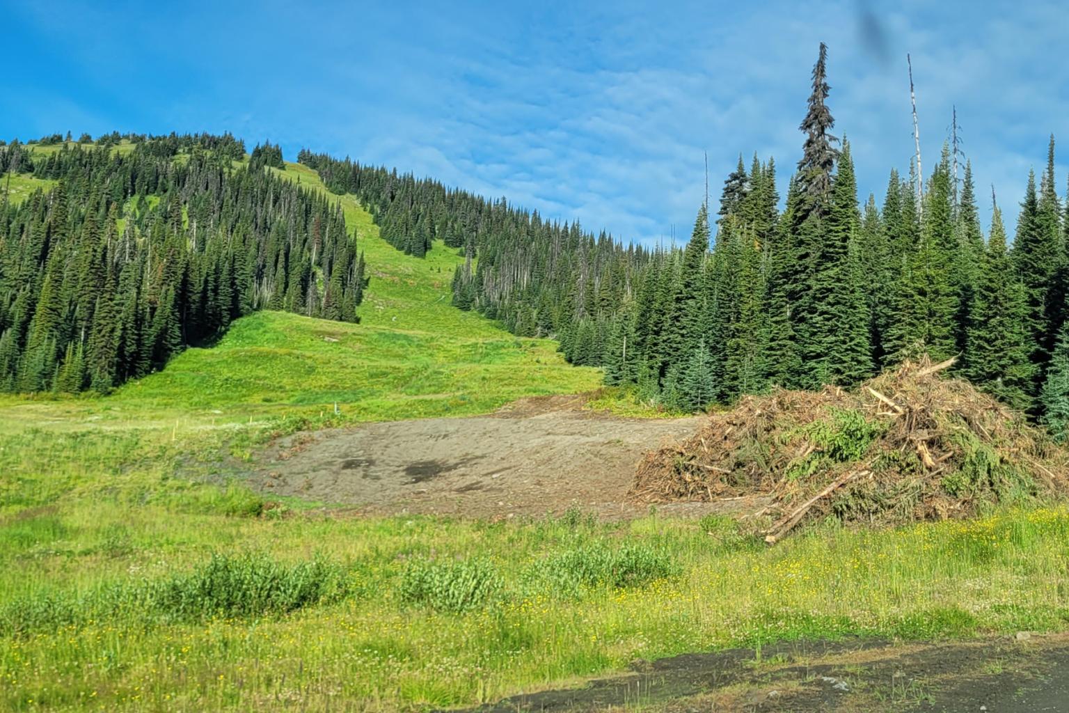 Widening Lower Chute to create an additional early season race training lane in conjunction with the Nancy Greene International Race Centre.