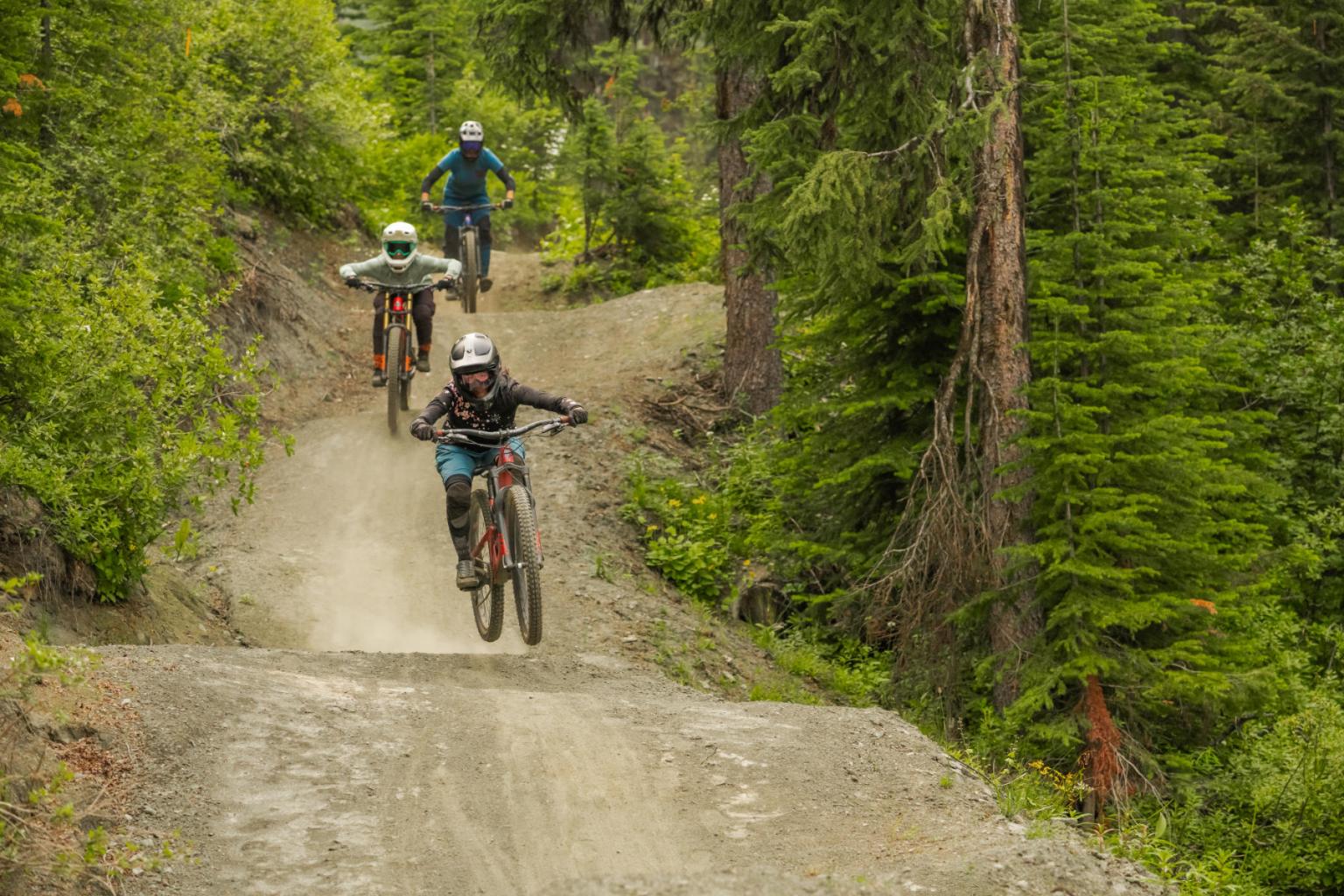 Mountain bikers ride downhill through a forest path, surrounded by green trees.