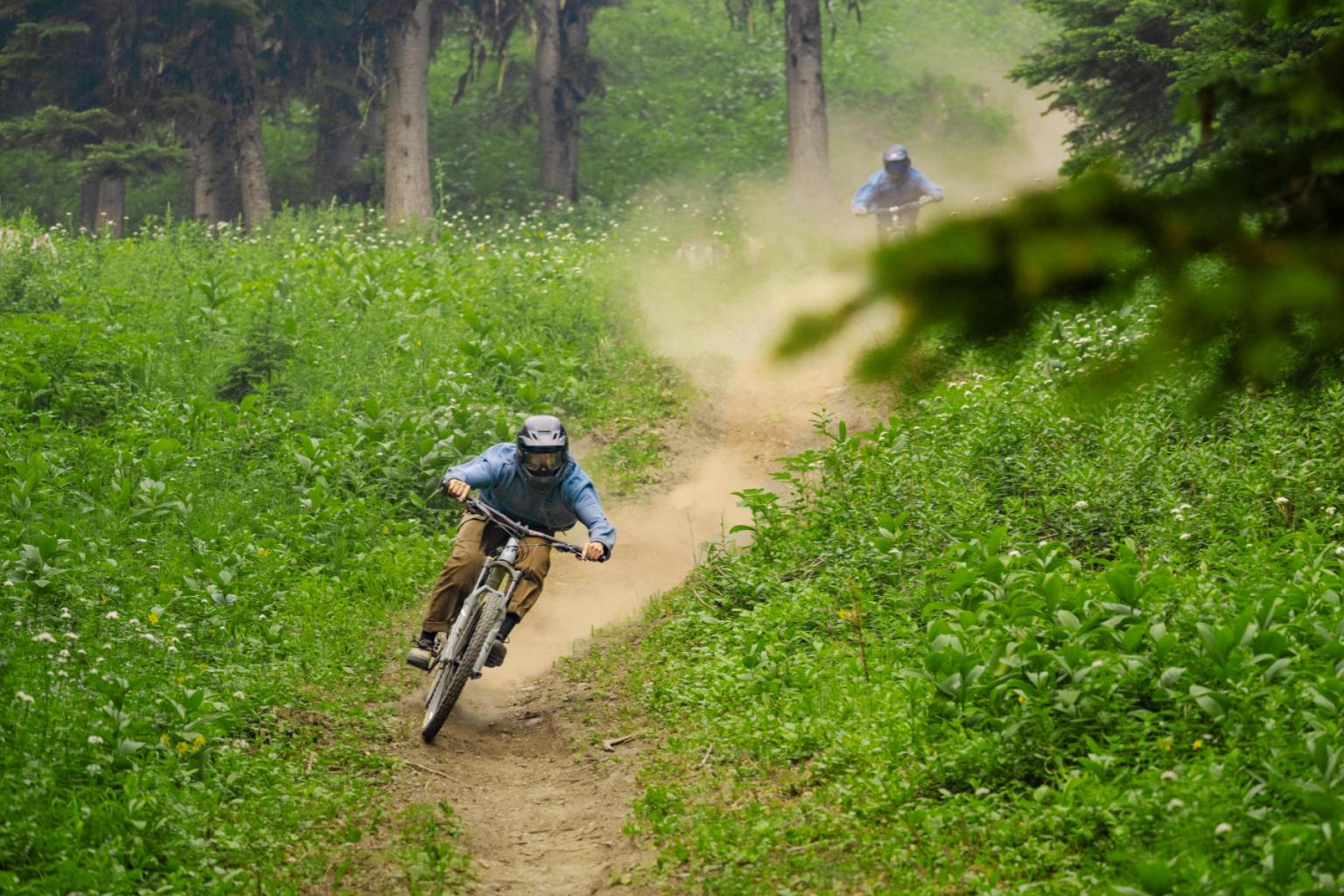 Mountain bikers racing on a forest trail, trees and greenery surrounding them.