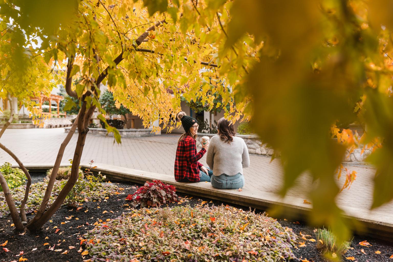 Two people sitting under a tree with yellow leaves, enjoying a scenic park view.