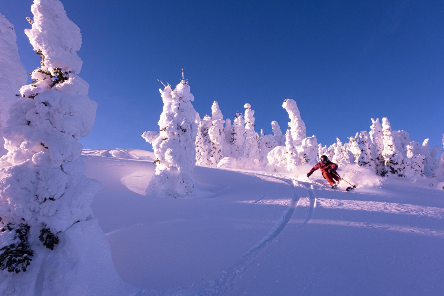 Skier on snowy mountain slope amid frost-covered trees under clear blue sky.