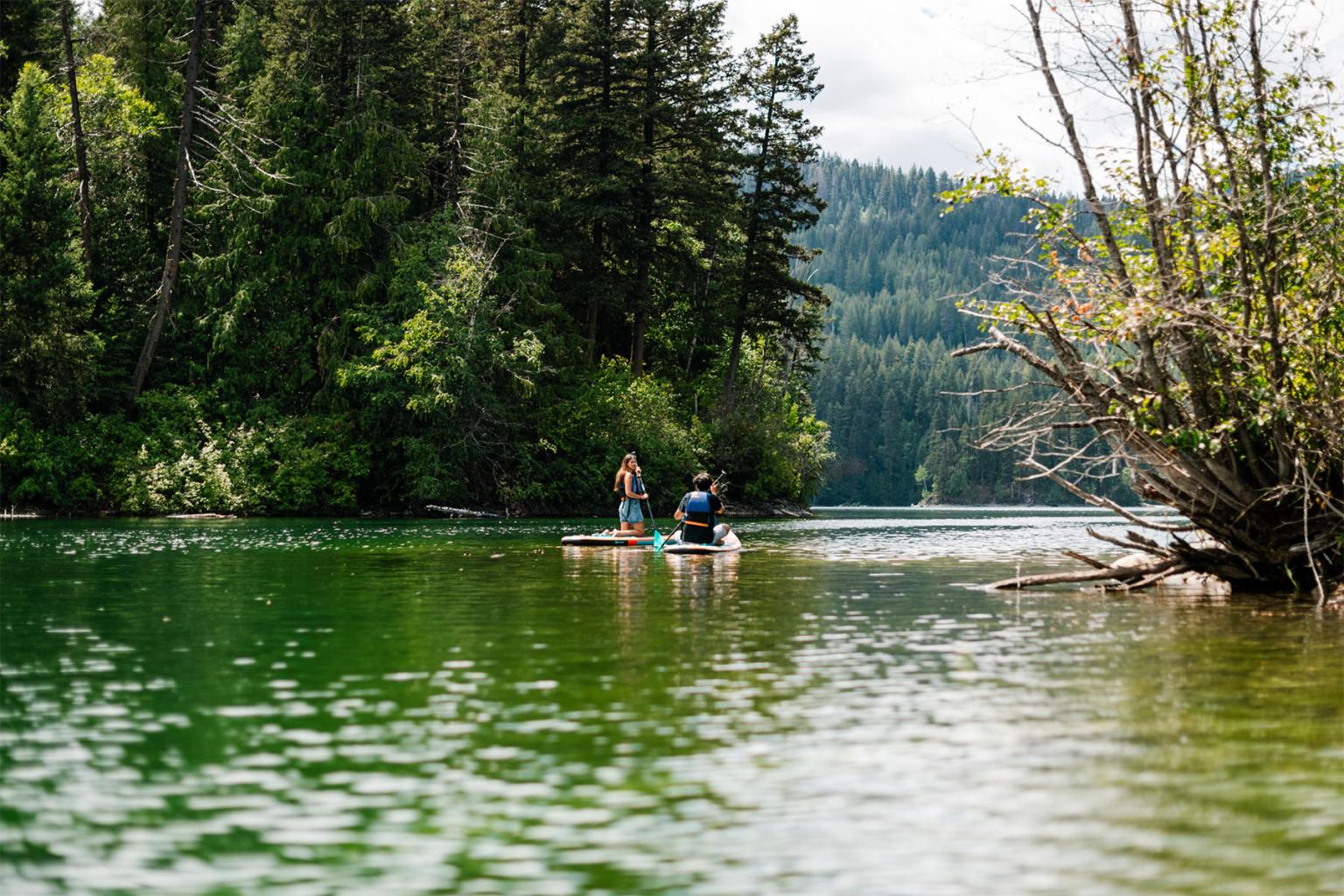 Paddle boarders on a calm forest lake with lush greenery and mountains in the background.