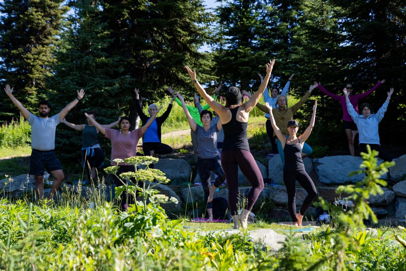 Group doing outdoor yoga in a sunny forest clearing.