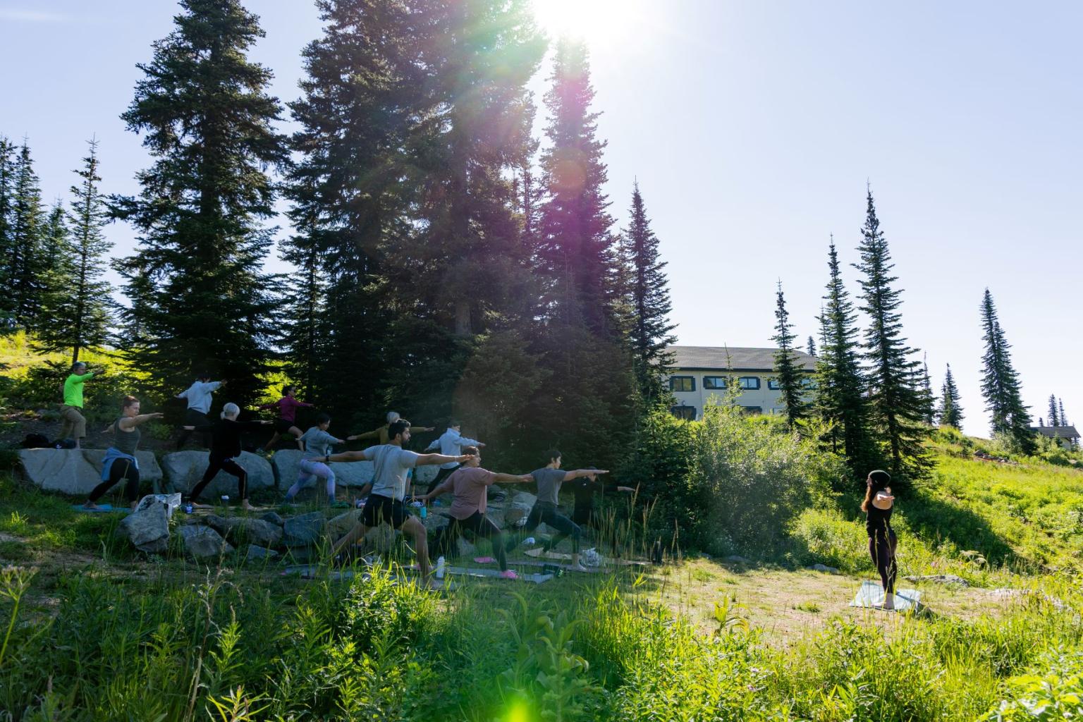 Yoga class outdoors in a sunny, grassy area with tall pine trees.