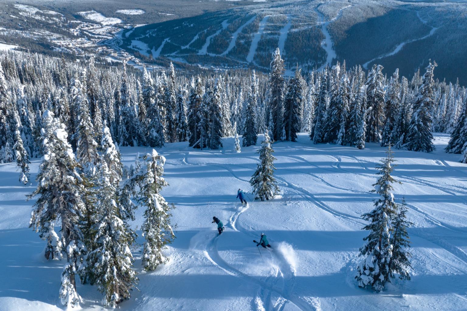 Snowy mountain landscape with skiers among pine trees.