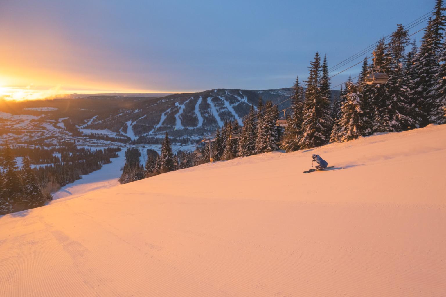Skier descends snowy slope at sunrise, trees line the path, distant mountains visible.