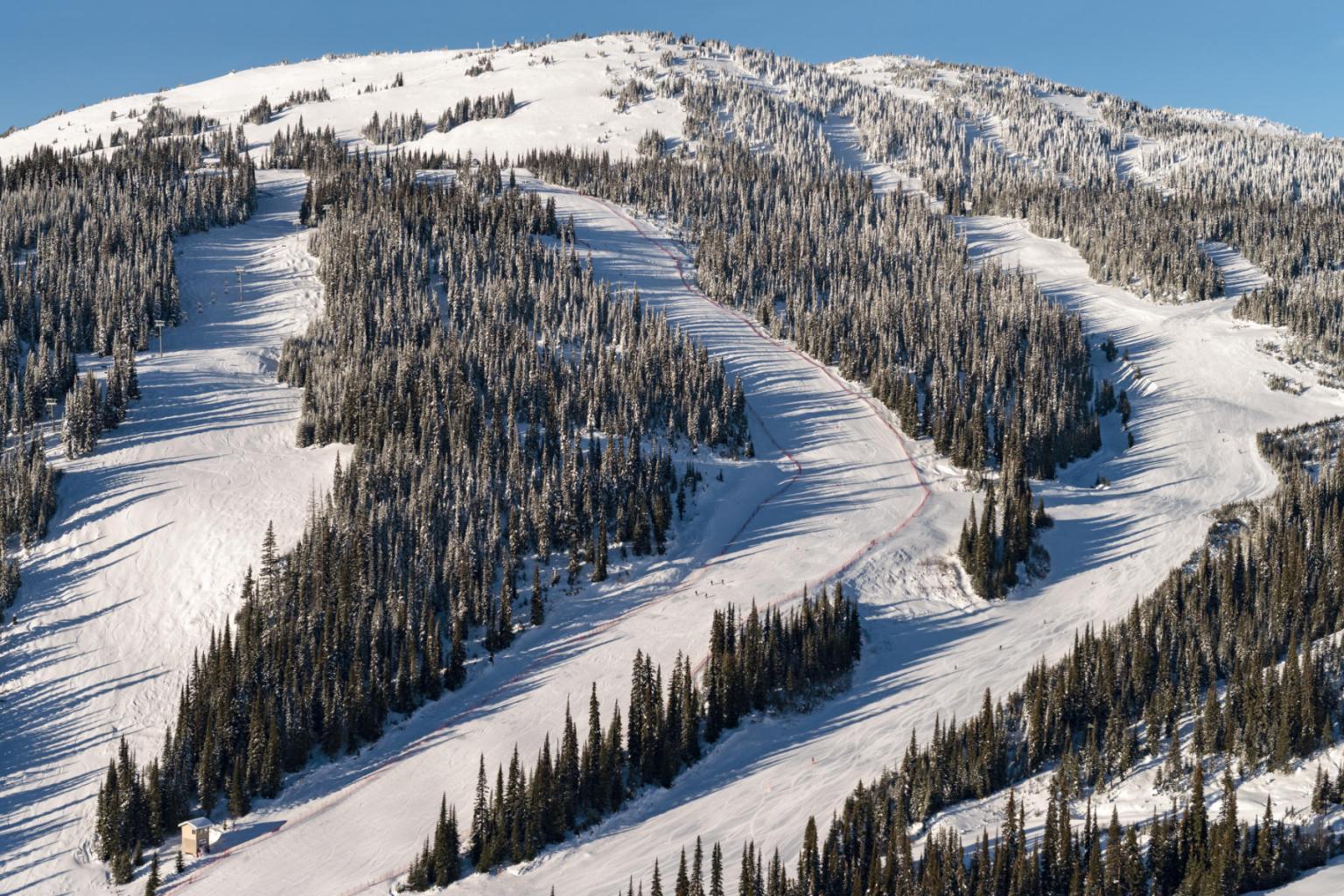 Snowy mountain ski slopes lined with evergreen trees under a clear blue sky.
