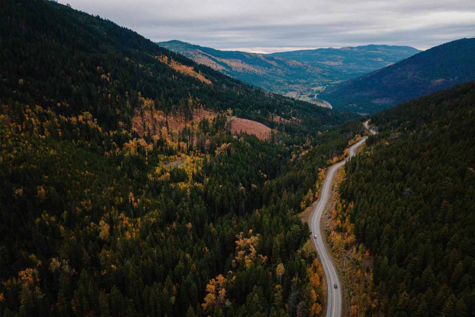 Winding road through green and yellow forested mountains under cloudy sky.