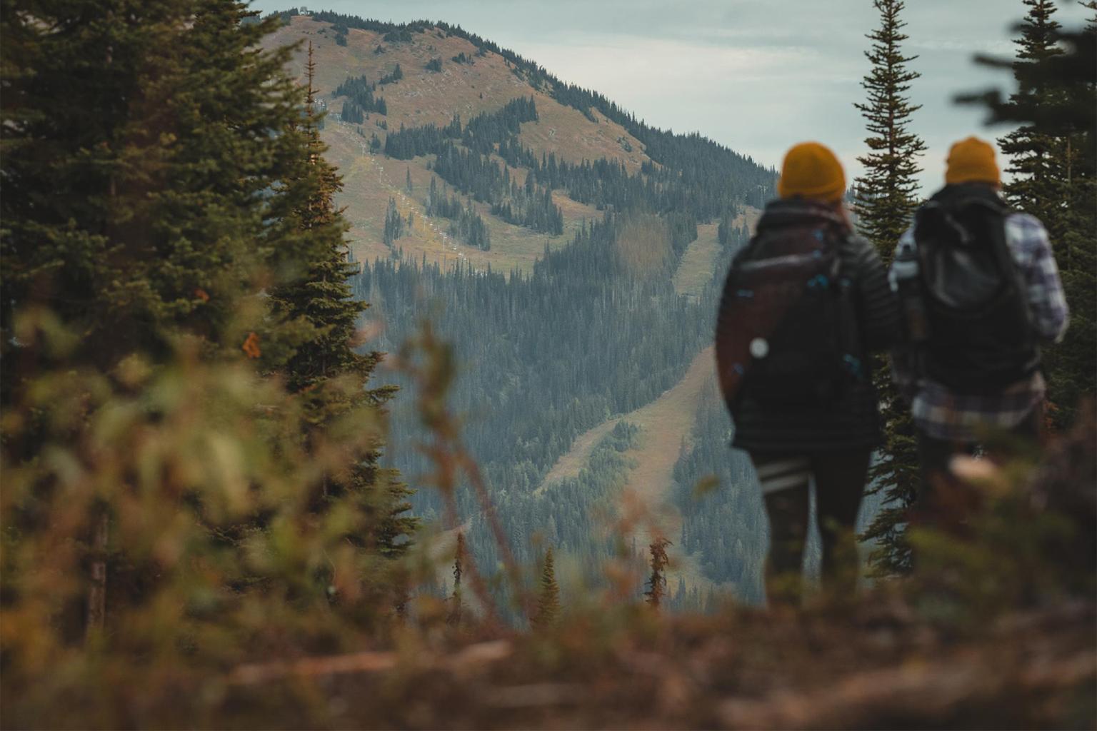 Two hikers overlook a wooded mountain landscape.
