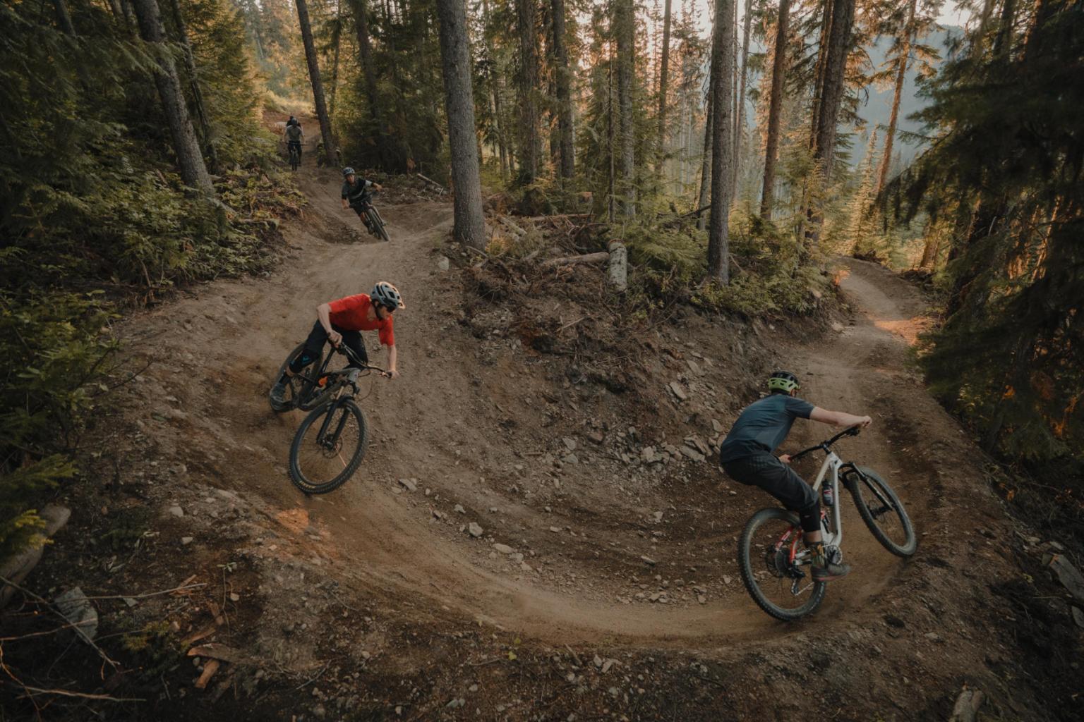 Cyclists navigating a dirt trail through a forest.