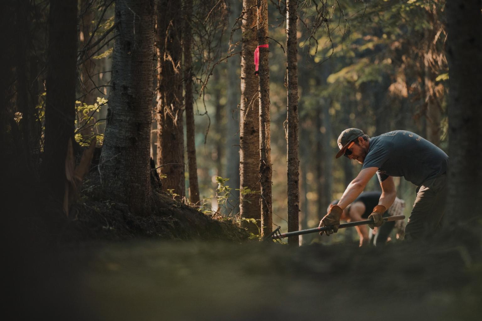 Man working in a sunlit forest, kneeling, using tools among trees.