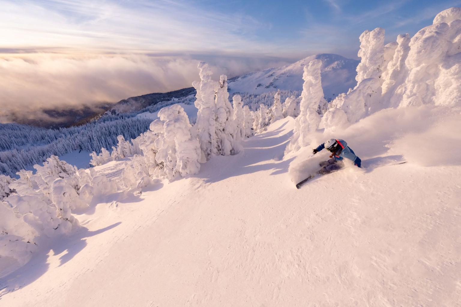 Skiier gliding through fresh snow on a sunlit, snowy mountain slope with frosted trees.