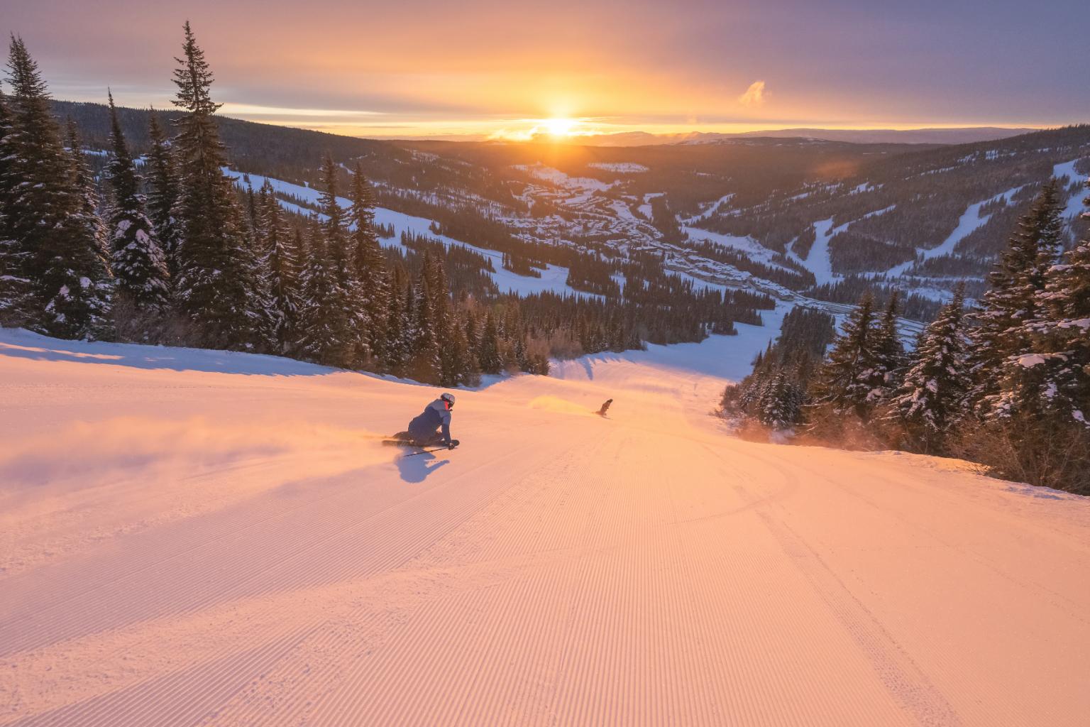 Skier on snowy slope at sunset, with pine trees and distant hills.
