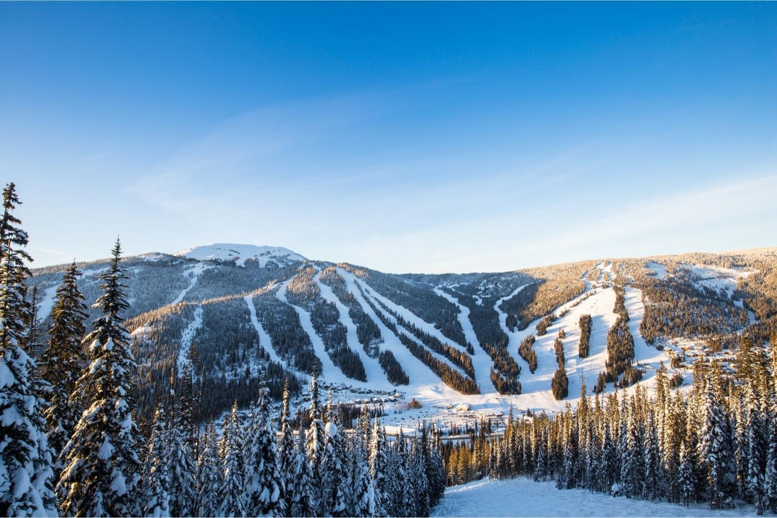 Snow-covered ski slopes and pine trees under a clear blue sky.
