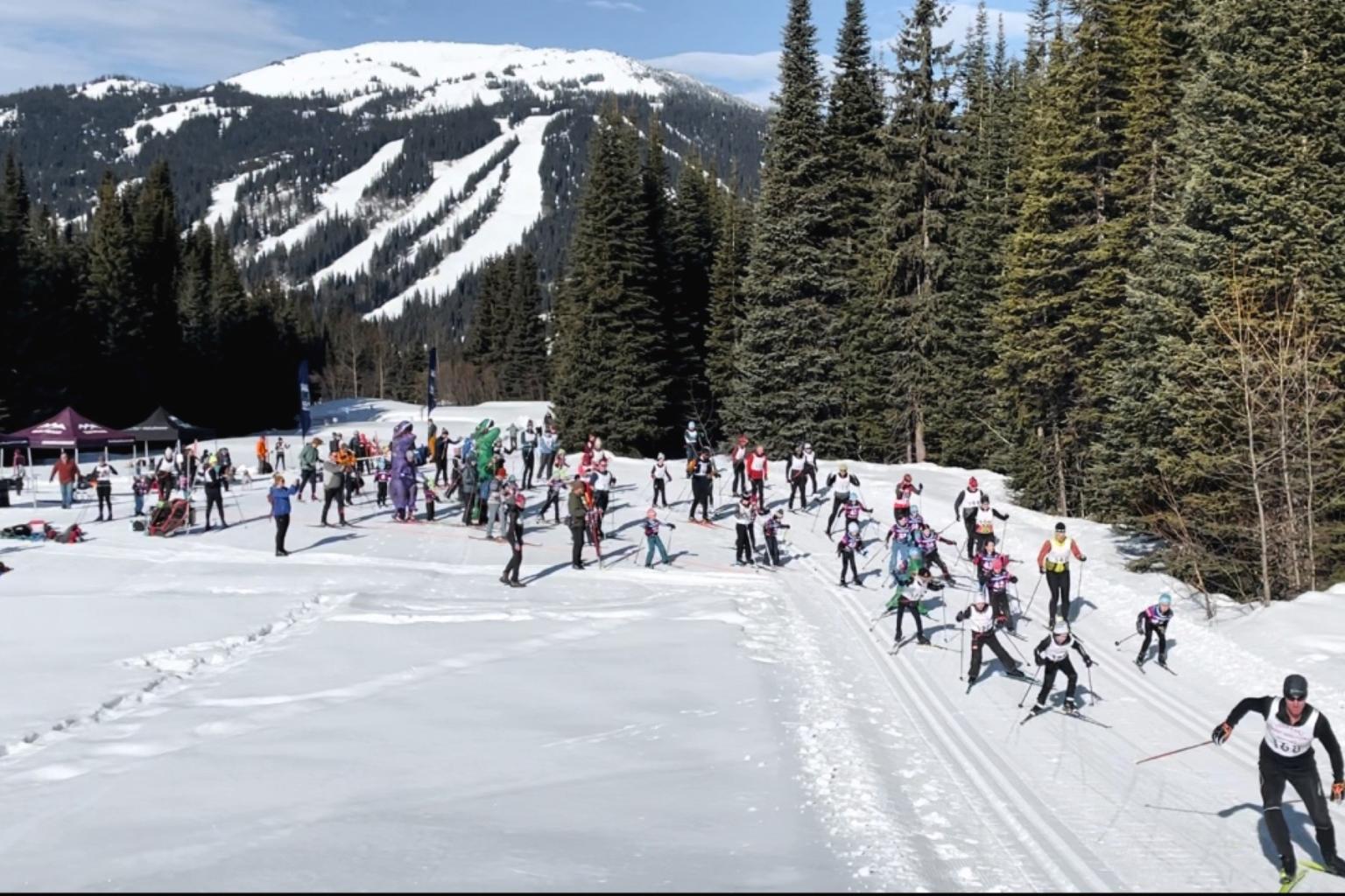 Many nordic skiers racing on a snowy trail amidst pine trees and mountains.