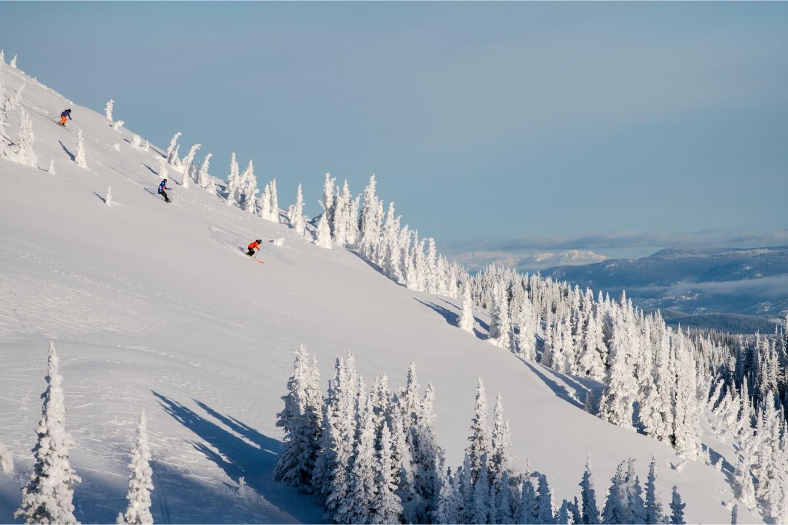 Skiers descend a snowy slope with snow-covered trees under a clear blue sky.