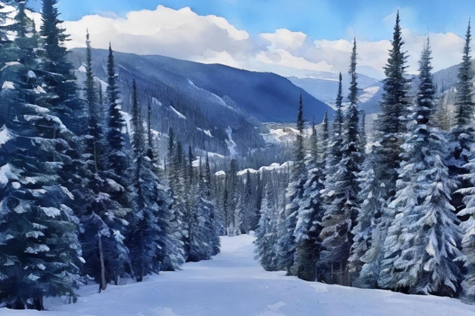 Brad Munro - Snow-covered mountain path flanked by tall, snowy evergreens under a clear blue sky.