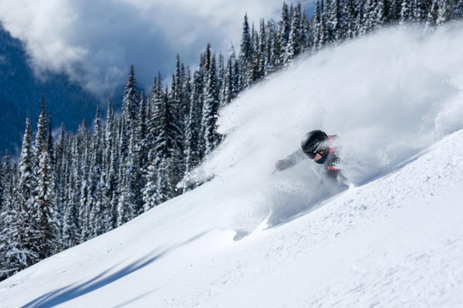 Skier gliding through fresh powder on a snowy slope, surrounded by pine trees.