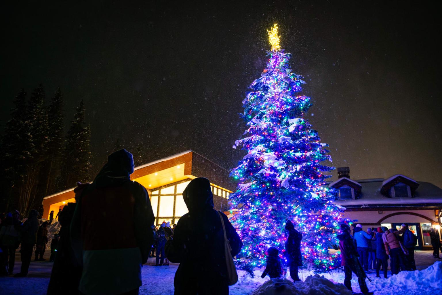 Crowd enjoying a large Christmas tree lit in festive blue and colorful lights at night.