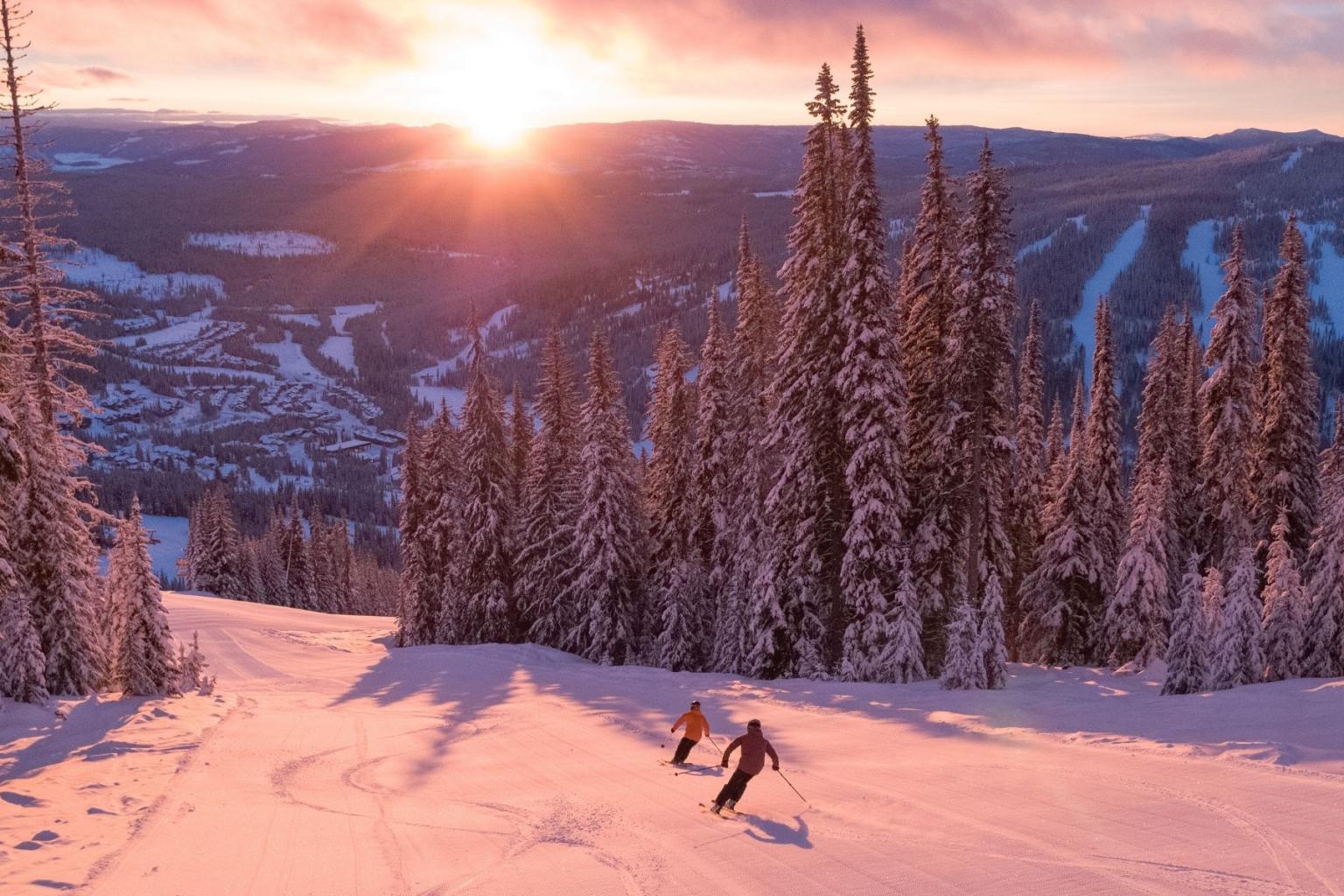 Skiers on snowy slope at sunset, surrounded by pine trees.