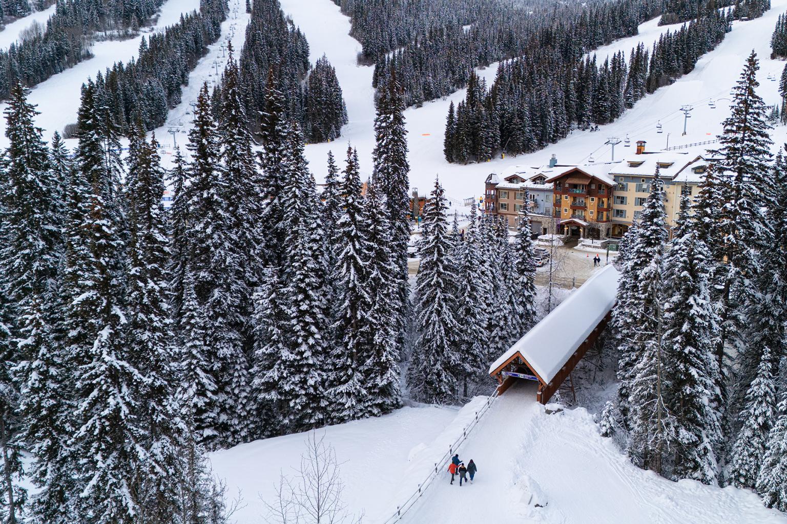 Snowy mountain resort with pine trees and ski slopes.