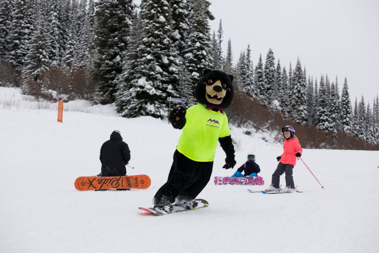 Harry Bear mascot snowboarding with skiers on a snowy hill, evergreen trees in the background.