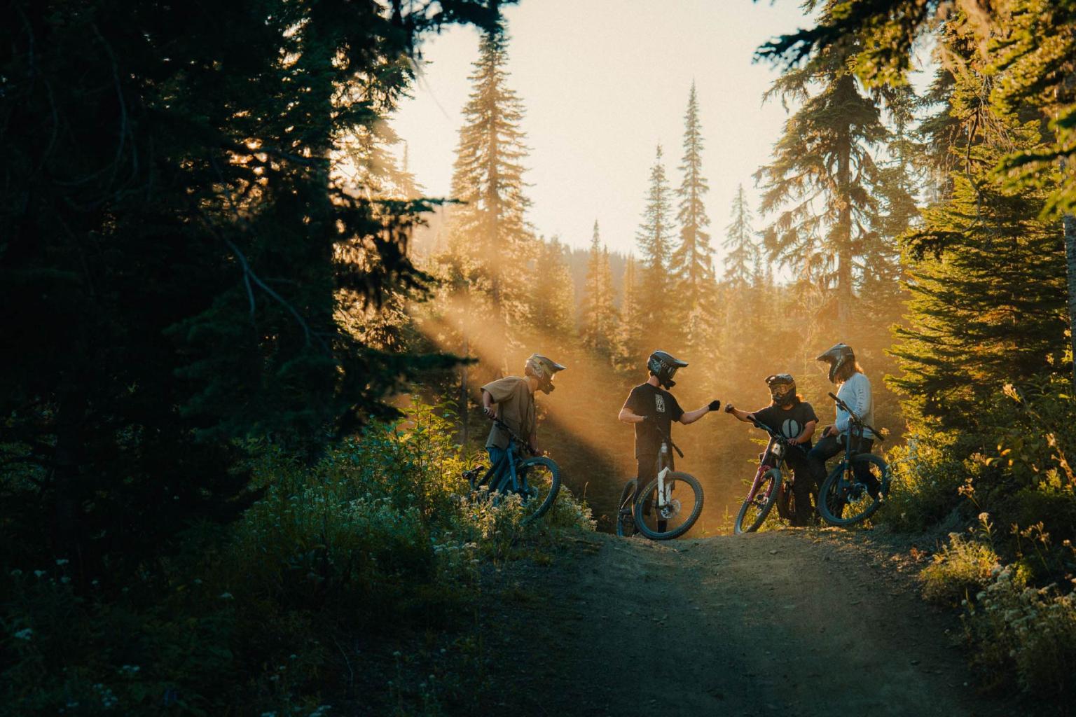 Cyclists resting on a forest trail at sunset, surrounded by tall trees and warm light.