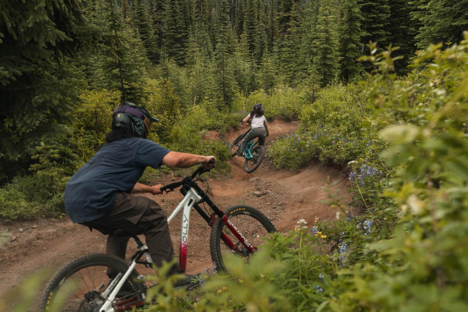 Cyclists on a forest trail, surrounded by green trees and bushes.