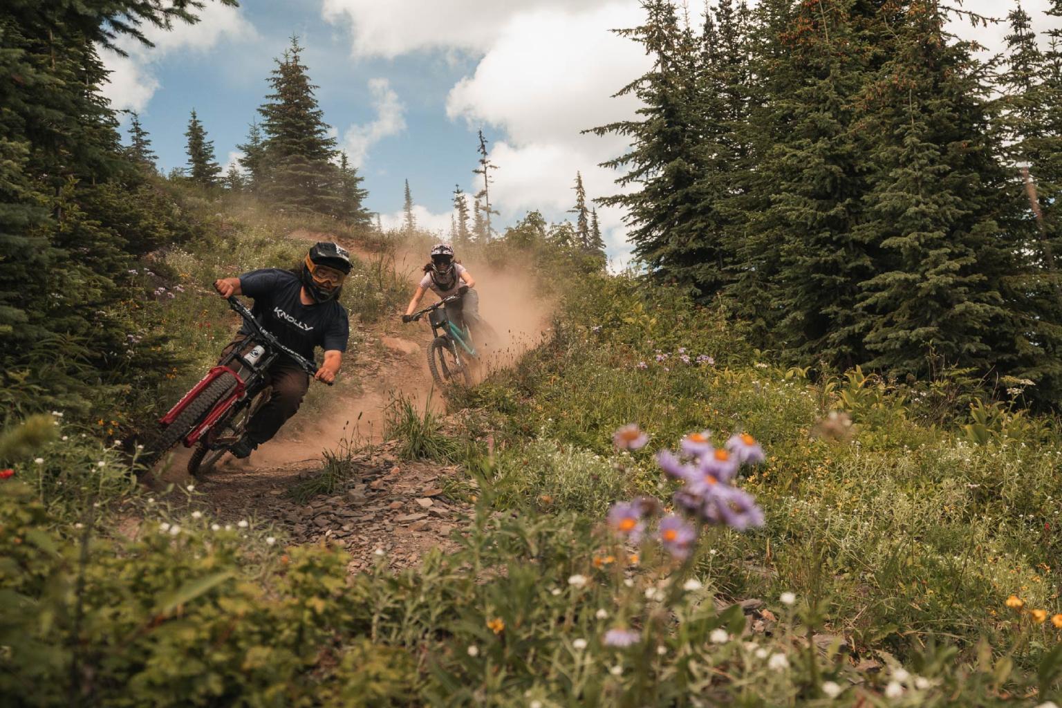 Mountain bikers on a forest trail, surrounded by wildflowers and tall trees.