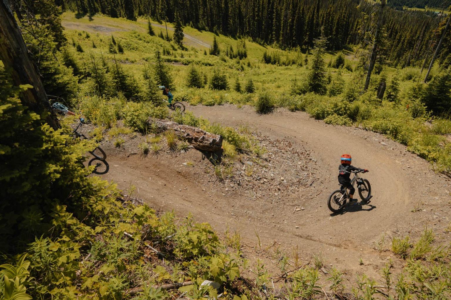 Mountain bikers on a winding dirt trail through a lush green forest.