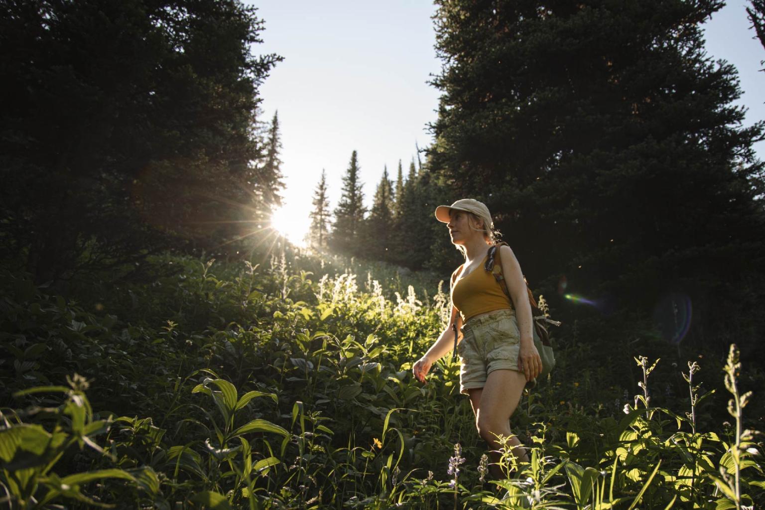 Woman hiking through sunlit forest in the morning.