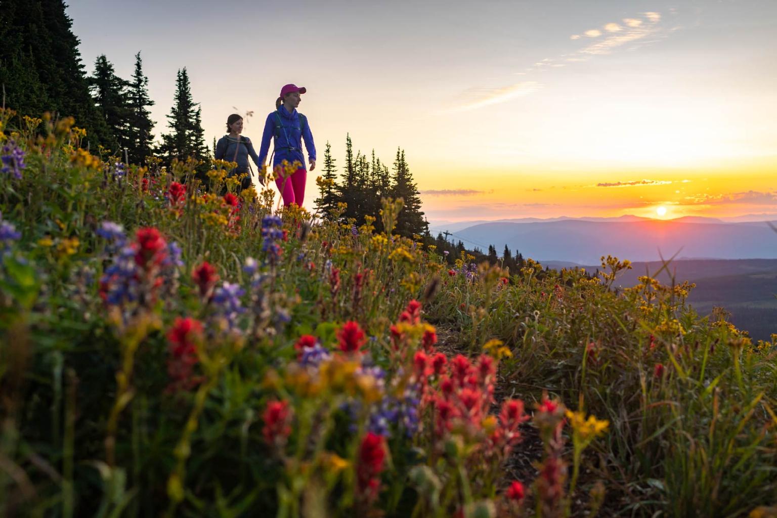 Two hikers on a mountain trail at sunset, surrounded by colorful wildflowers.