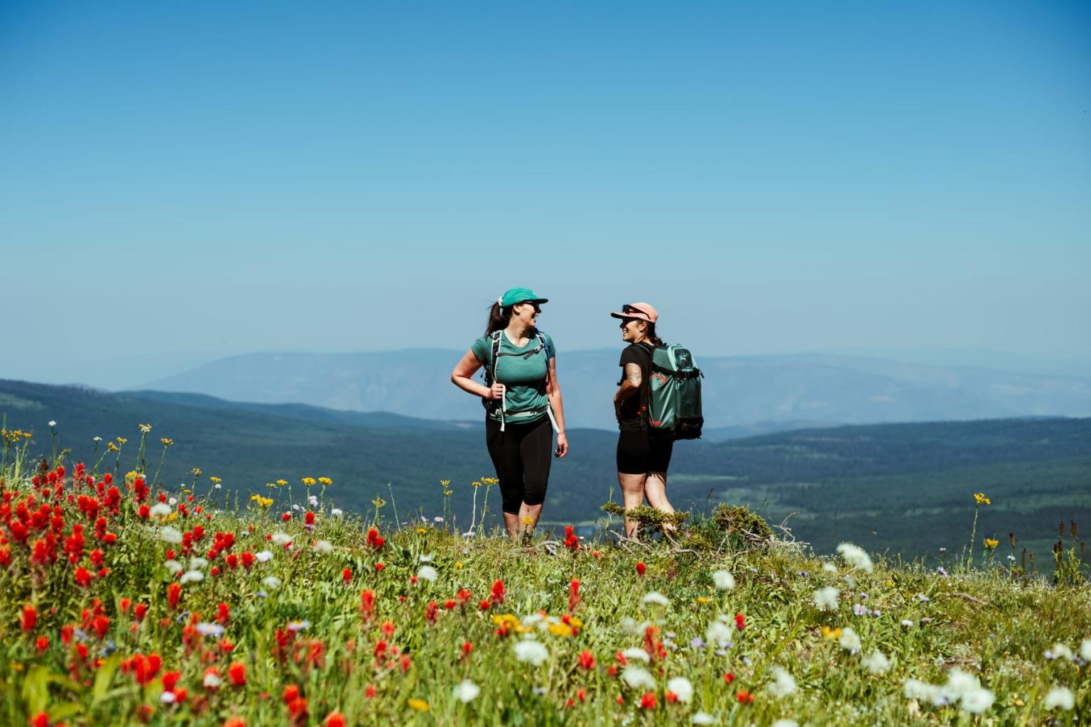 Two hikers on a hillside with wildflowers, under clear blue skies.