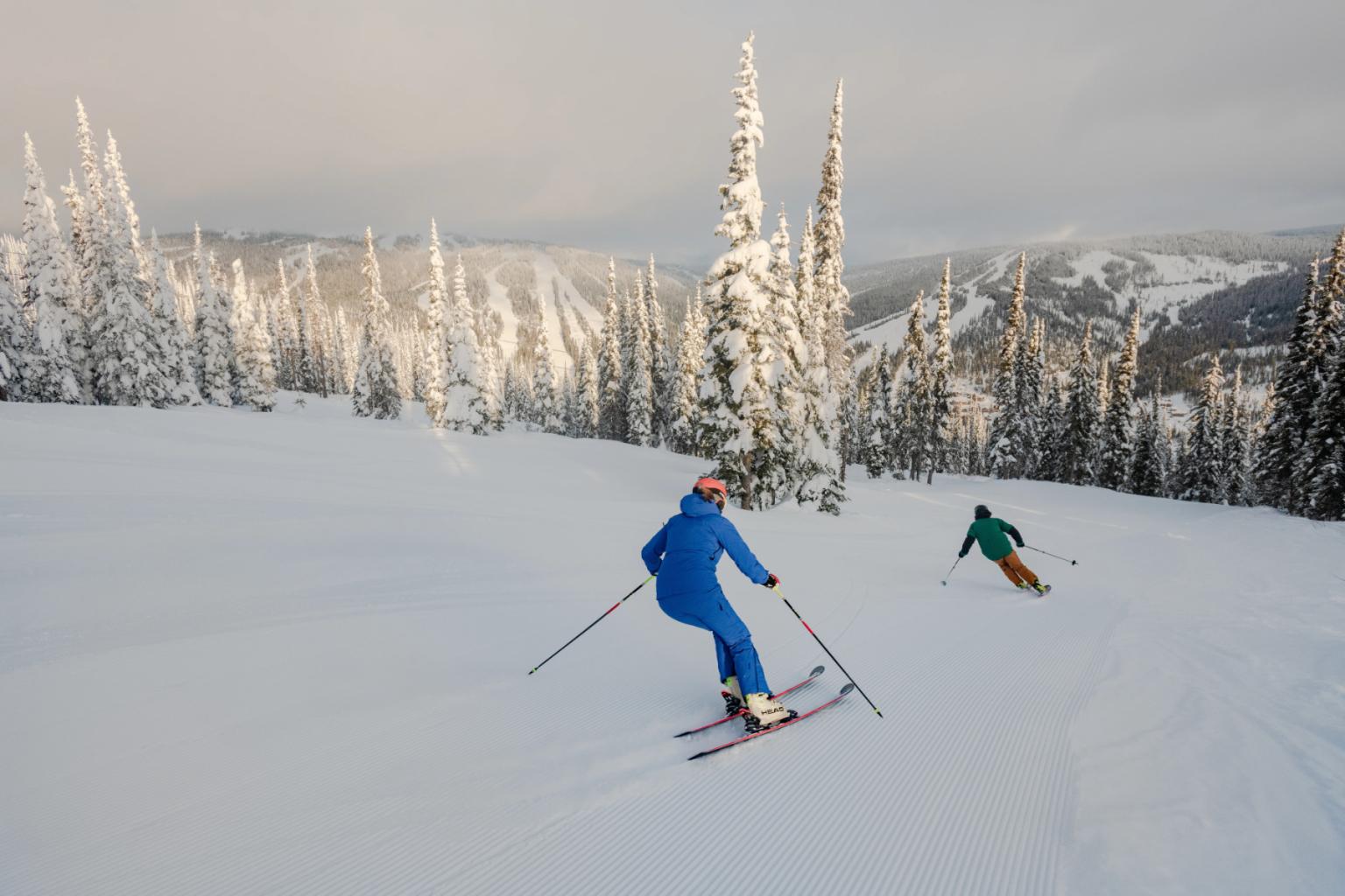 Two skiers in bright gear descend a snowy mountain slope with pine trees.