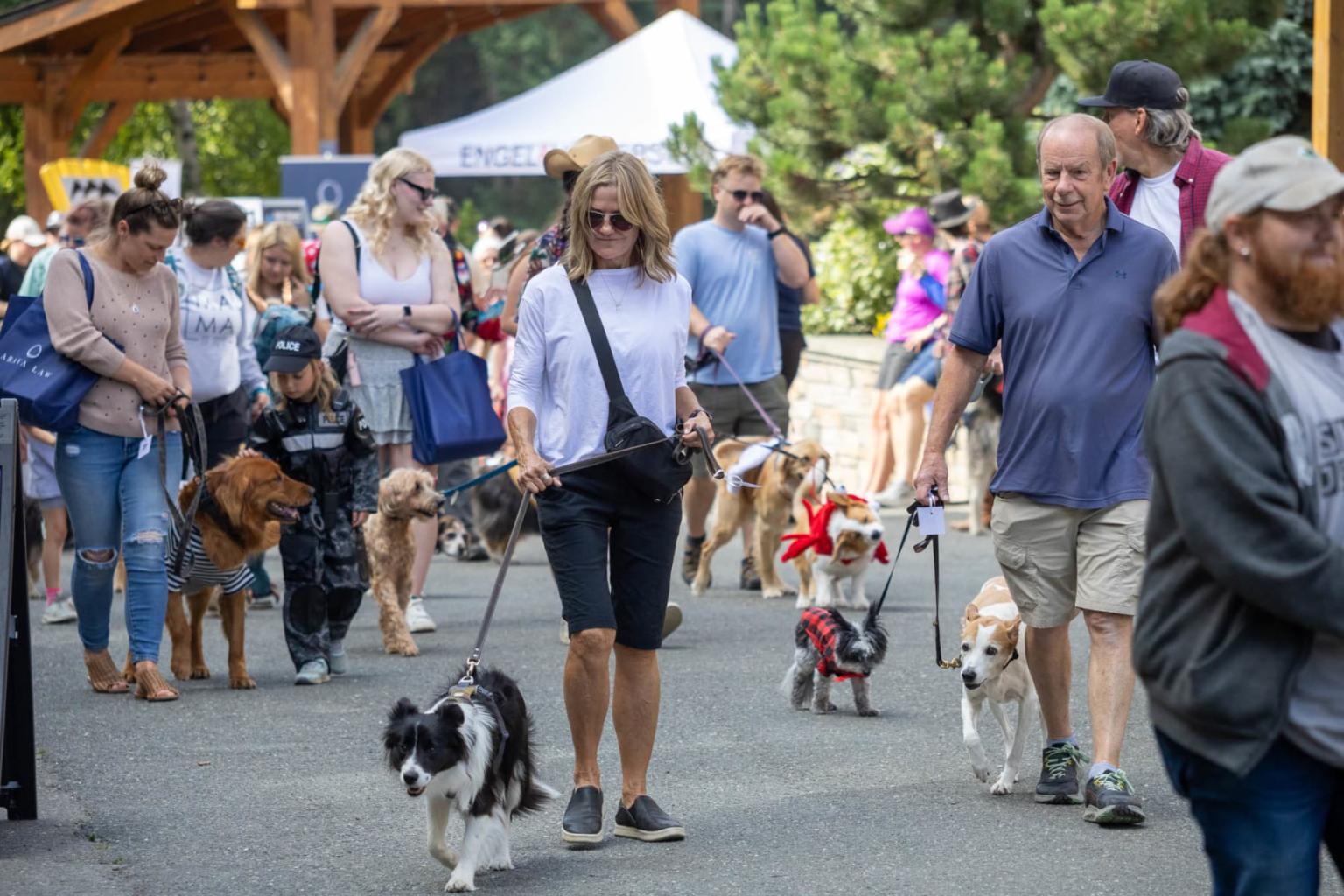 People walking dogs at an outdoor event with trees in the background.
