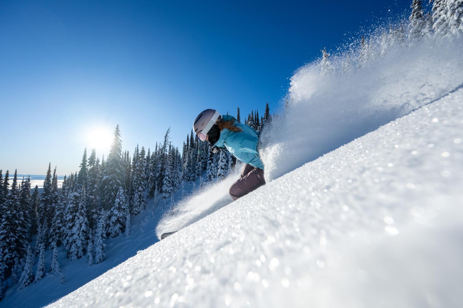 Skier in blue skies carving through fresh snow on a sunny, forested slope.