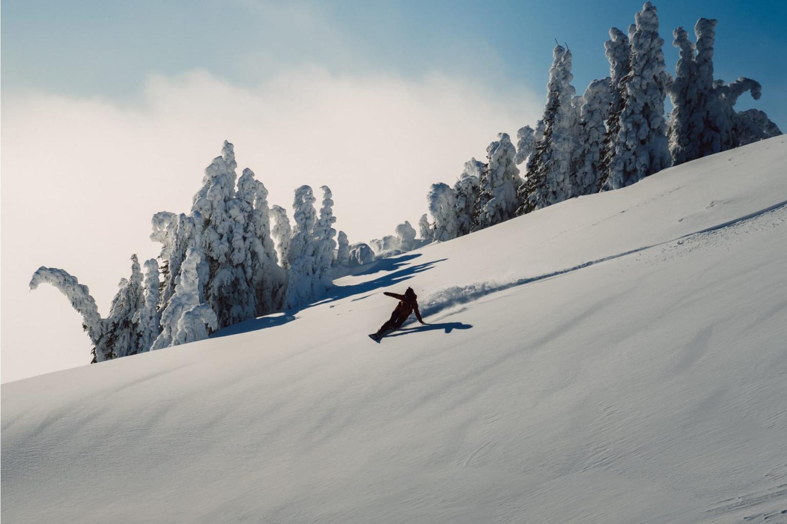 Skier gliding down a snowy slope with frosted trees under a blue sky.